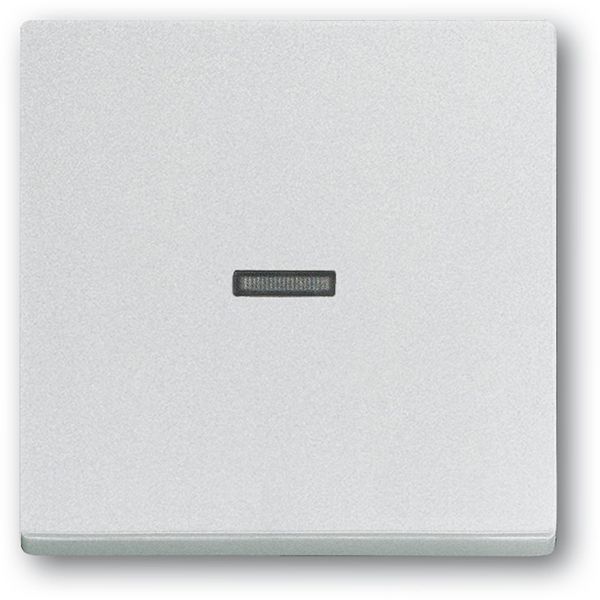 1789 N-83 CoverPlates (partly incl. Insert) future®, Busch-axcent® Aluminium silver image 1