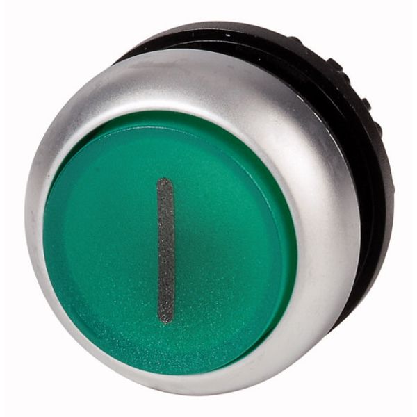 Illuminated pushbutton actuator, RMQ-Titan, Extended, momentary, green, inscribed, Bezel: titanium image 1