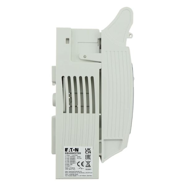Switch disconnector, low voltage, 160 A, AC 690 V, NH000, AC21B, 3P, IEC image 16