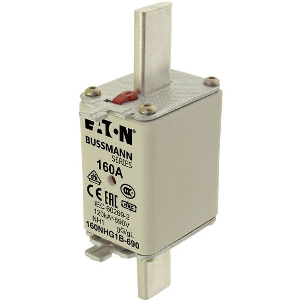 Fuse-link, low voltage, 160 A, AC 500 V, NH1, gL/gG, IEC, dual indicator image 3