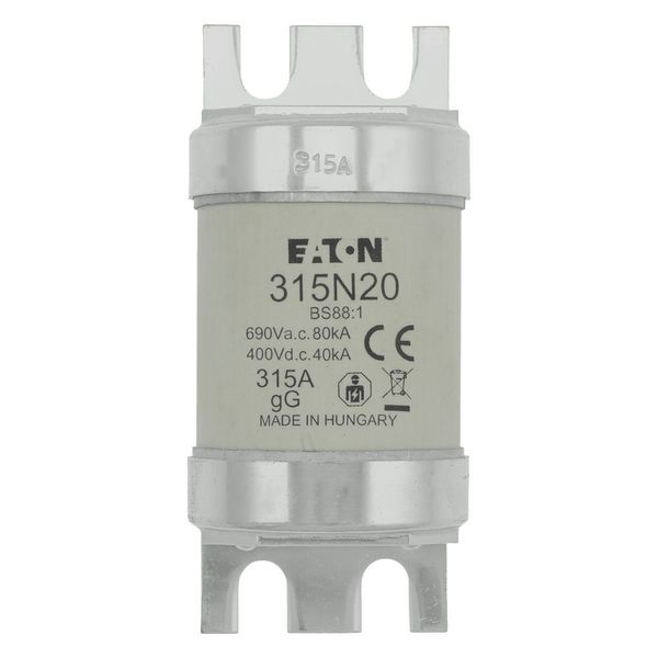 Fuse-link, low voltage, 315 A, AC 660 V, BS88, 49 x 110 mm, gL/gG, BS image 19