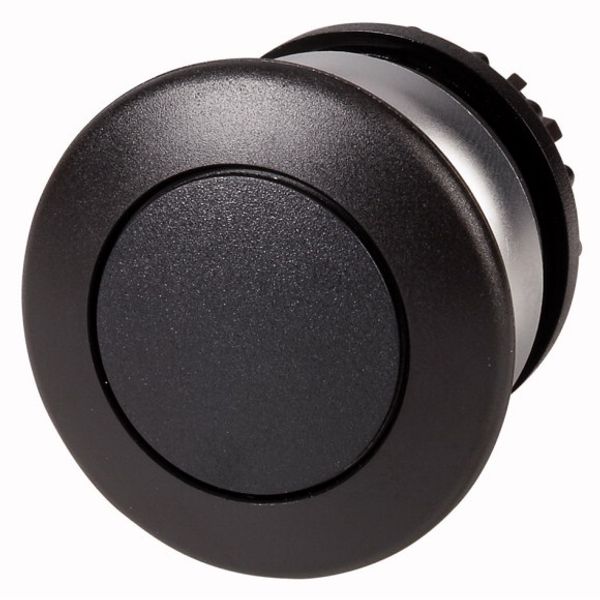 Mushroom actuator, RMQ-Titan, Mushroom, momentary, Mushroom black, black, Blank, Bezel: titanium image 1