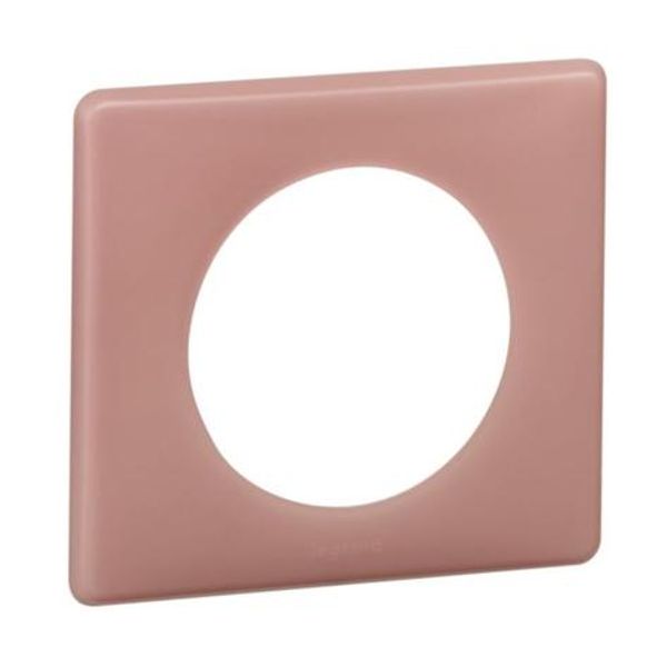 Céliane plate 1 station - Dusty pink finish image 1