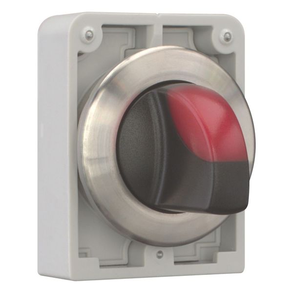 Illuminated selector switch actuator, RMQ-Titan, with thumb-grip, momentary, 2 positions, red, Front ring stainless steel image 12