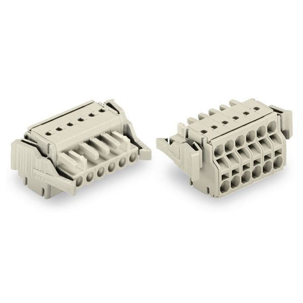 2-conductor female connector Push-in CAGE CLAMP® 2.5 mm² light gray image 1