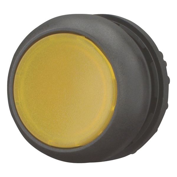 Illuminated pushbutton actuator, RMQ-Titan, Flush, momentary, yellow, Blank, Bezel: black image 6