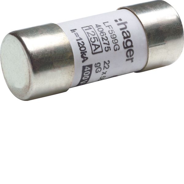 Cylindrical fuse-links for industrial applications 22x58mm gG 125A 400 image 1