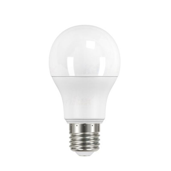 LED lamp, IQ-LED A60 10,5W-CW, 10,5W, 1080lm, 6500K, E27 (27278) image 1