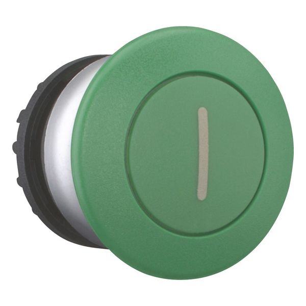 Mushroom actuator, RMQ-Titan, Mushroom, maintained, Mushroom green, green, inscribed, Bezel: titanium image 13