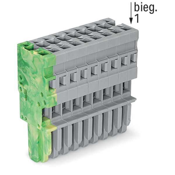 1-conductor female connector CAGE CLAMP® 4 mm² gray, green-yellow image 4
