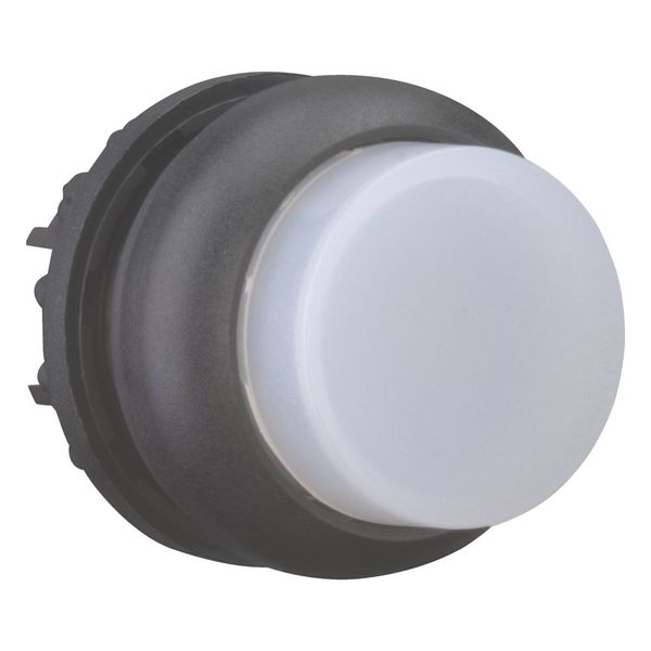 Illuminated pushbutton actuator, RMQ-Titan, Extended, maintained, White, Blank, Bezel: black image 6
