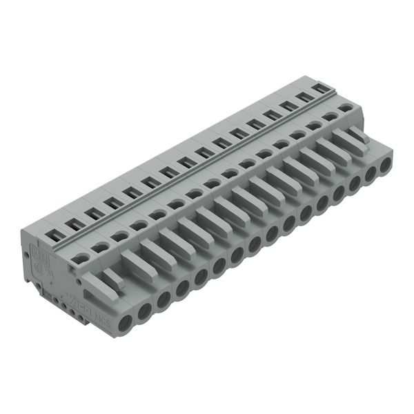 1-conductor female connector CAGE CLAMP® 2.5 mm² gray image 1