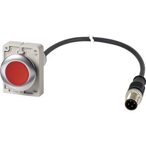 Pushbutton, Flat, momentary, 1 NC, Cable (black) with M12A plug, 4 pole, 1 m, red, Blank, Metal bezel image 2