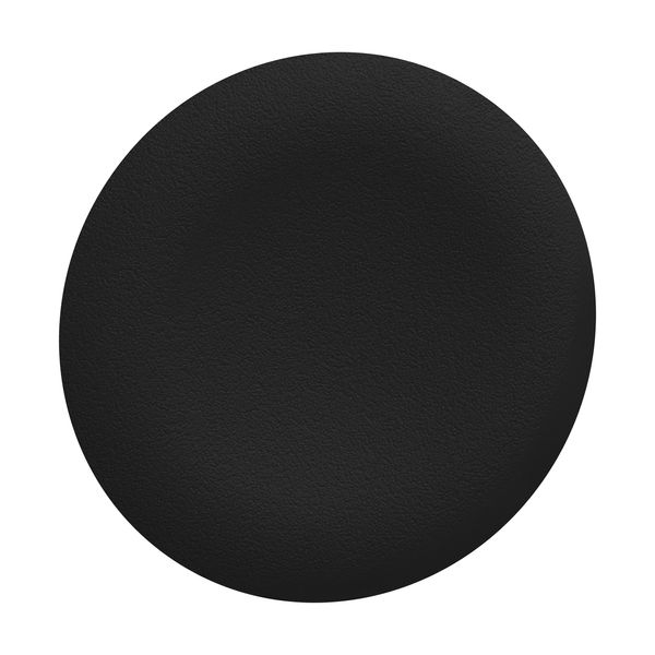 Harmony XB4, Harmony XB5, Antimicrobial black plain cap for flush mounted push button image 1