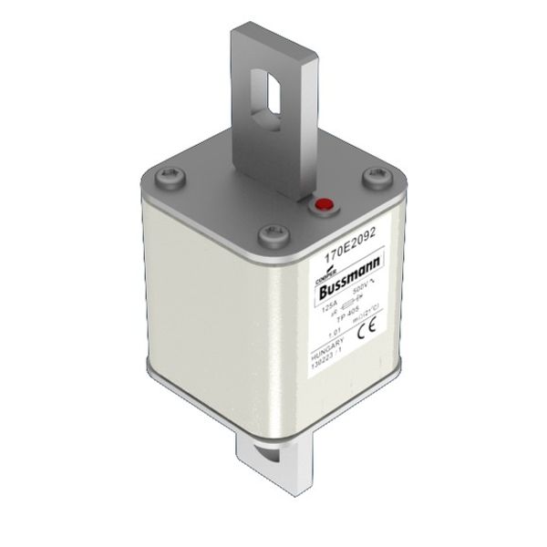 Fuse-link, high speed, 125 A, AC 500 V, 55 x 55 x 140 mm, aR, IEC, with indicator image 2