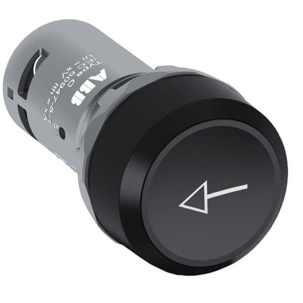 CP9-1016 Pushbutton image 4