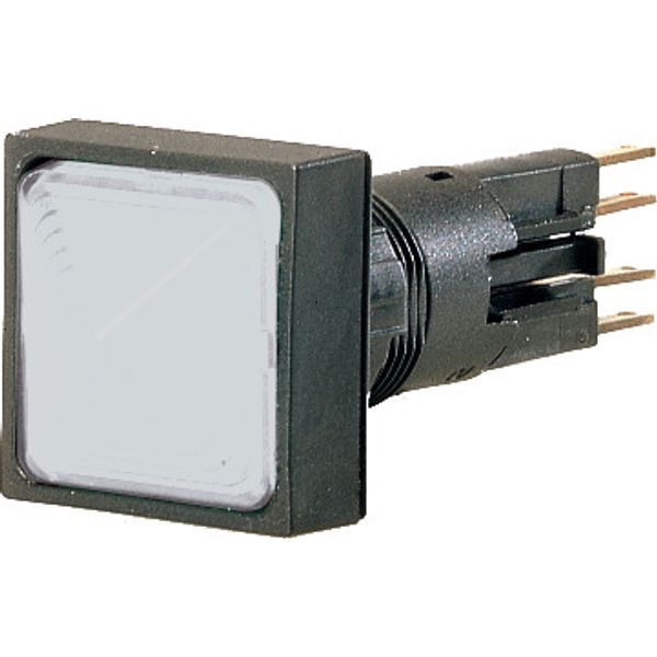 Indicator light, raised, white, +filament lamp, 24 V image 1