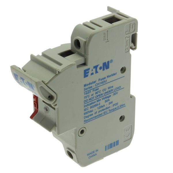 Fuse-holder, low voltage, 50 A, AC 690 V, 14 x 51 mm, 1P, IEC, With indicator image 6