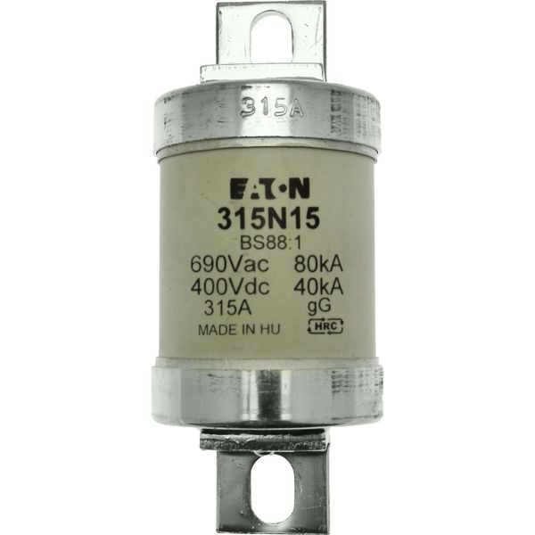 Fuse-link, low voltage, 315 A, AC 660 V, BS88, 49 x 120 mm, gL/gG, BS image 7