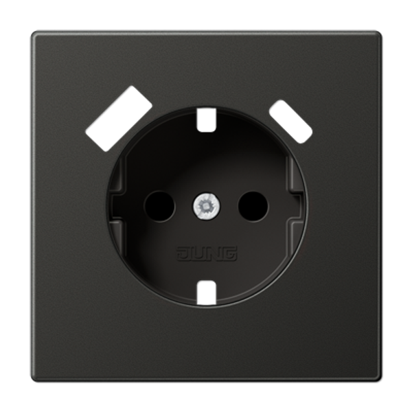 Centre plate SCHUKO® sockets AL1520-15CAPLAN image 1