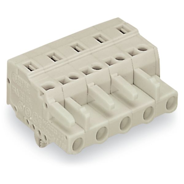 1-conductor female connector CAGE CLAMP® 2.5 mm² light gray image 5