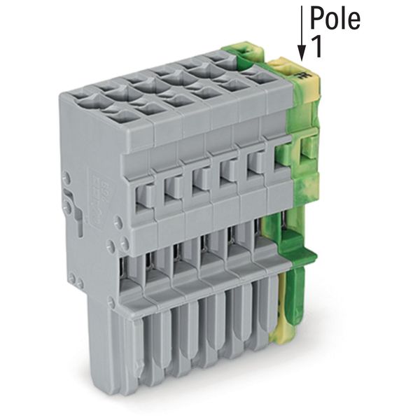 1-conductor female connector CAGE CLAMP® 4 mm² green-yellow/gray image 3