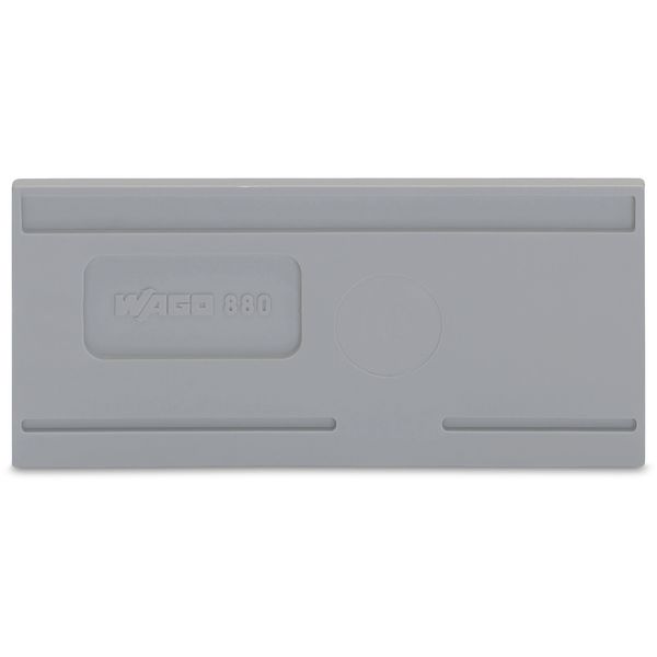 Separator plate 2 mm thick oversized gray image 1