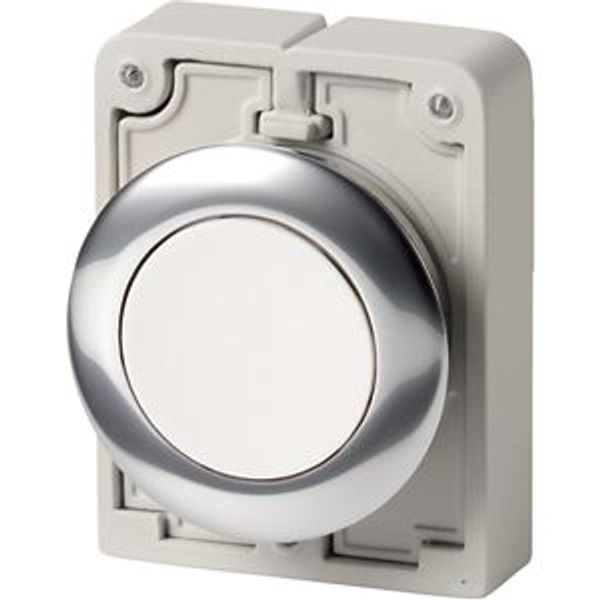 Pushbutton, RMQ-Titan, Flat, momentary, White, Blank, Metal bezel image 4