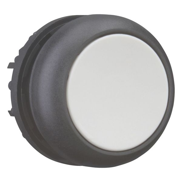 Pushbutton, RMQ-Titan, Flat, momentary, gray, Blank, Bezel: black image 11