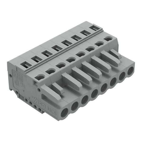 1-conductor female connector CAGE CLAMP® 2.5 mm² gray image 1