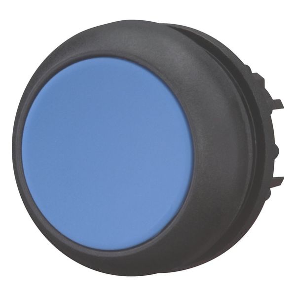 Pushbutton, RMQ-Titan, Flat, momentary, Blue, Blank, Bezel: black image 5