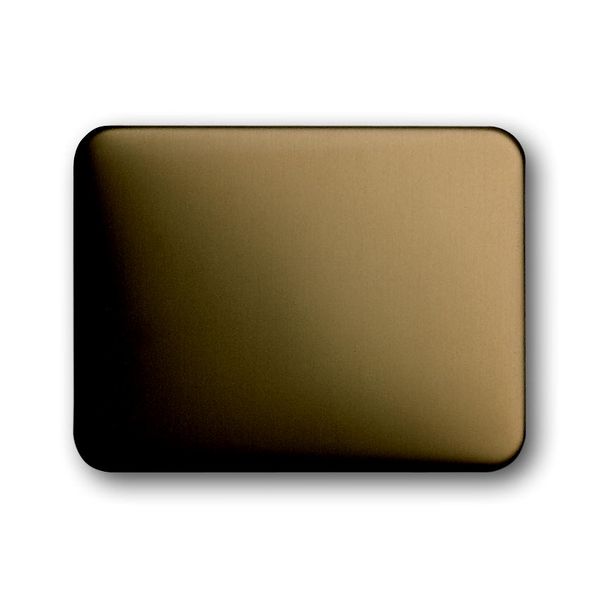 1786-21 CoverPlates (partly incl. Insert) carat® bronze image 1