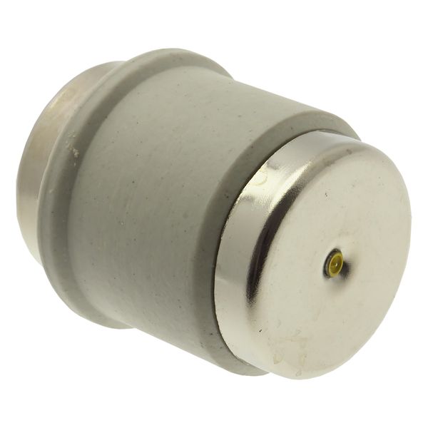 Fuse-link, low voltage, 125 A, AC 500 V, D5, 56 x 46 mm, gR, DIN, IEC, fast-acting image 17