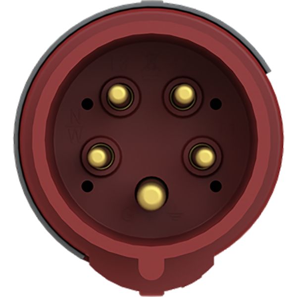 416EP6 Industrial Plug image 2