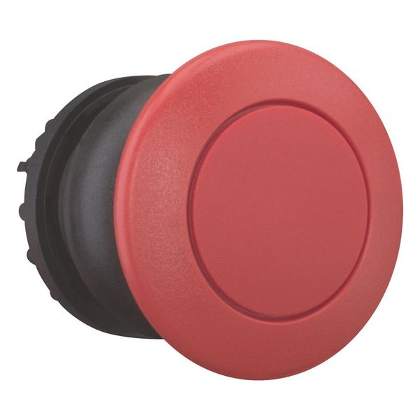 Mushroom actuator, RMQ-Titan, Mushroom, momentary, Mushroom red, red, Blank, Bezel: black image 10