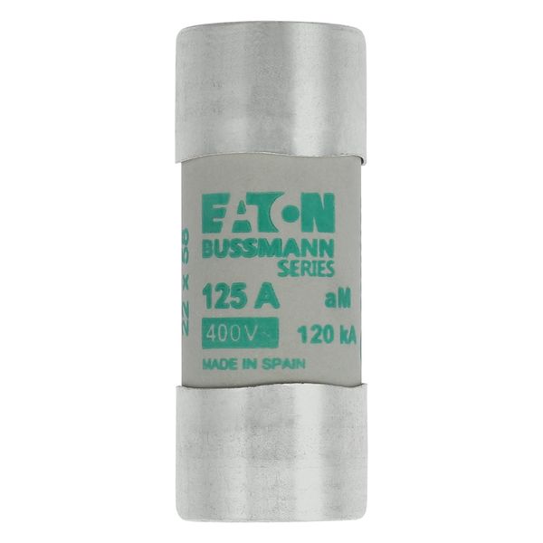 Fuse-link, LV, 125 A, AC 400 V, 22 x 58 mm, aM, IEC image 6