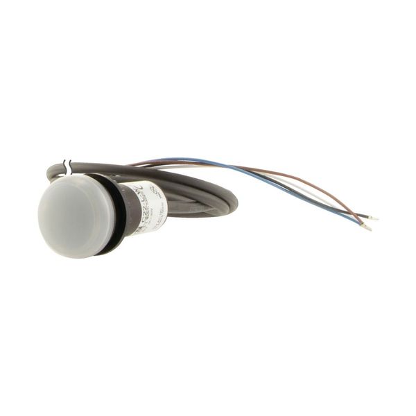 Indicator light, Flat, Cable (black) with non-terminated end, 4 pole, 3.5 m, Lens white, LED white, 24 V AC/DC image 15