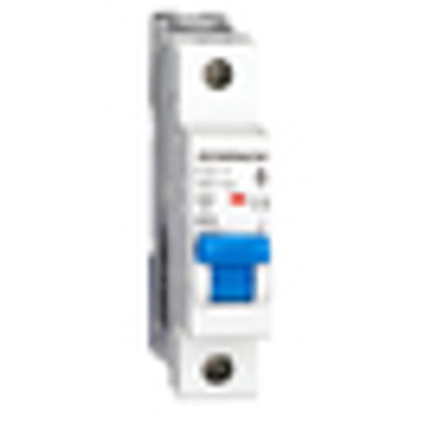 Miniature Circuit Breaker (MCB) AMPARO 6kA, C 2A, 1-pole image 6