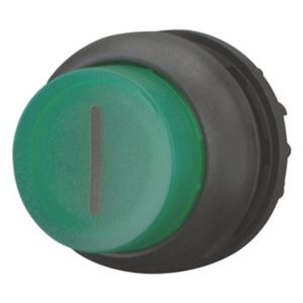 Illuminated pushbutton actuator, RMQ-Titan, Extended, momentary, green, inscribed, Bezel: black image 2