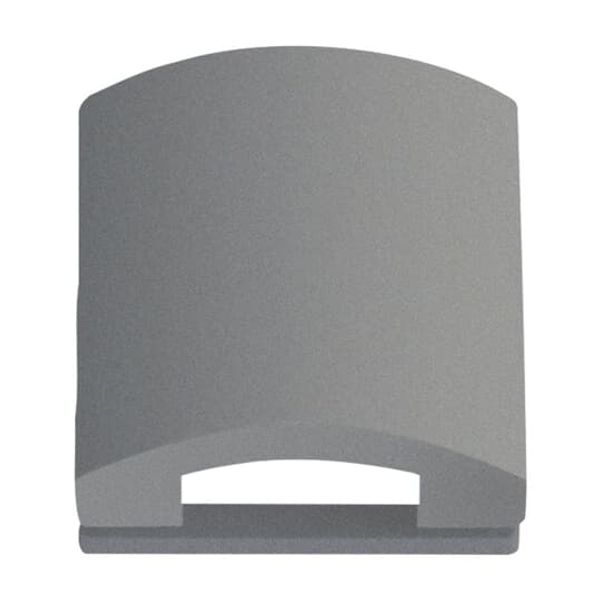 1750-803 CoverPlates (partly incl. Insert) Busch-axcent®, solo® grey metallic image 3