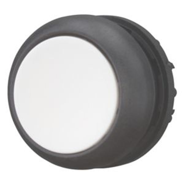 Pushbutton, RMQ-Titan, Flat, maintained, White, Blank, Bezel: black image 2