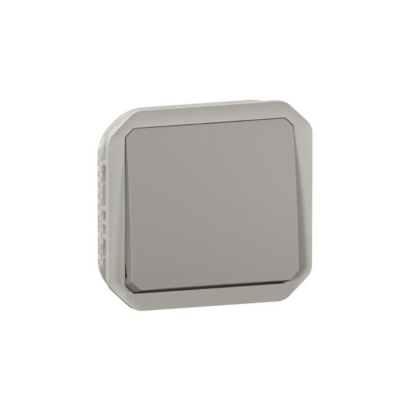 Plexo 10A waterproof single push button to be fitted with a gray finish housing or support plate image 1