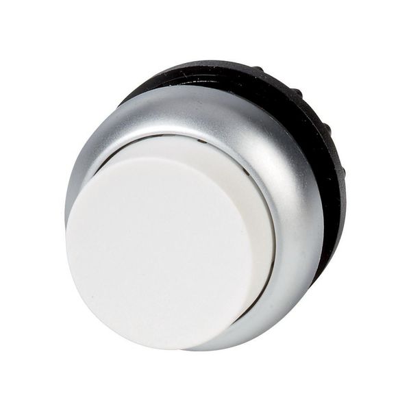 Pushbutton, RMQ-Titan, Extended, maintained, White, Blank, Bezel: titanium image 2