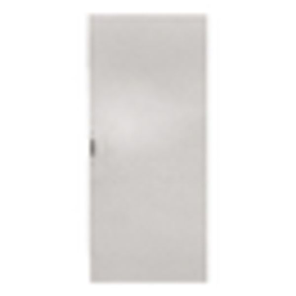 Sheet steel door for 1 door enclosure H=2000 W=800 mm image 2