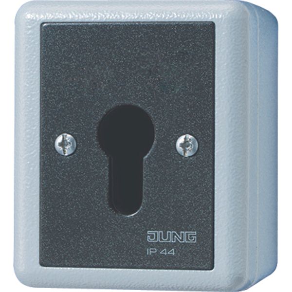 Key switch/push-button 806.28G image 1
