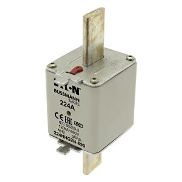 Fuse-link, LV, 224 A, AC 690 V, NH2, gL/gG, IEC, dual indicator, live gripping lugs image 6