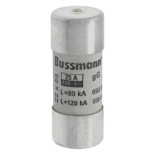 Fuse-link, LV, 25 A, AC 690 V, 22 x 58 mm, gL/gG, IEC, with striker image 8