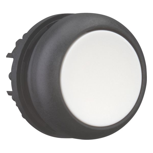 Pushbutton, RMQ-Titan, Flat, momentary, White, Blank, Bezel: black image 7