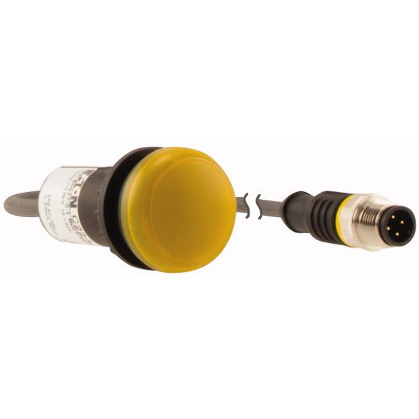 Indicator light, Flat, Cable (black) with M12A plug, 4 pole, 1 m, Lens yellow, LED white, 24 V AC/DC image 3