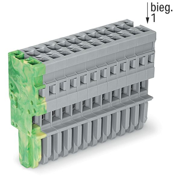 1-conductor female connector CAGE CLAMP® 4 mm² gray, green-yellow image 4